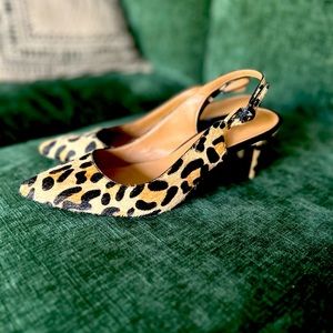 Woman’s Calvin Klein Leopard Print Faux Hair Slingback Pumps